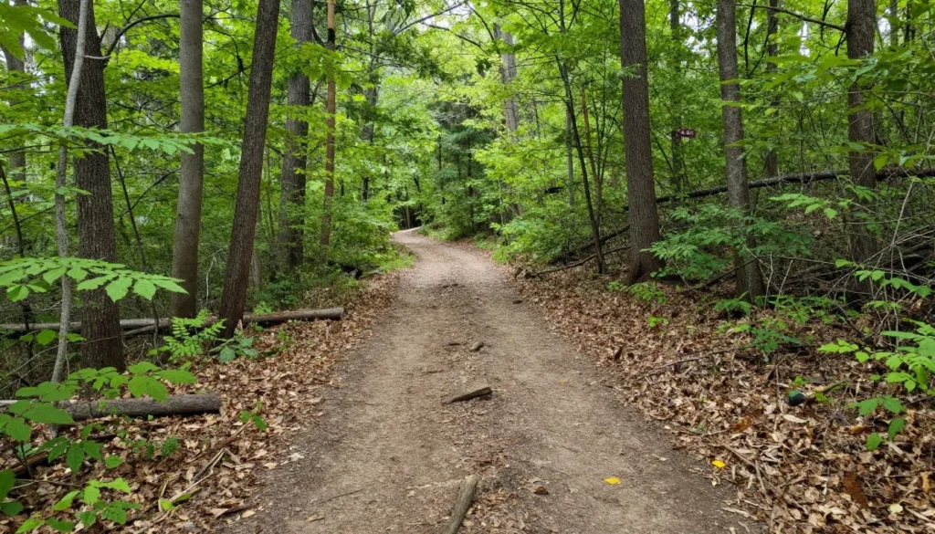 Well-maintained hiking trail through safe forest area at Chickasaw State Park Well-maintained hiking trail through safe forest area at Chickasaw State Park