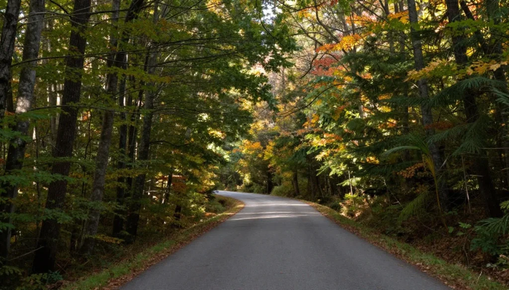 Winding forest road through Cumberland Mountain State Park Winding forest road through Cumberland Mountain State Park
